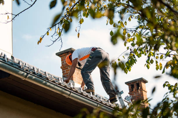 Quick and Trustworthy Emergency Roof Repair Services in Oak Park, MI