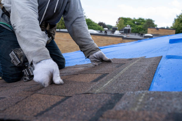 Quick and Trustworthy Emergency Roof Repair Services in Oak Park, MI