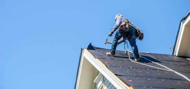Best Emergency Roof Repair  in Oak Park, MI